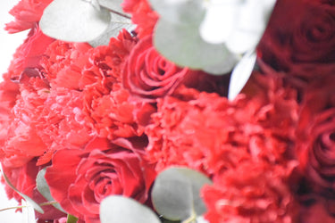 Red Roses and Carnations Bouquet